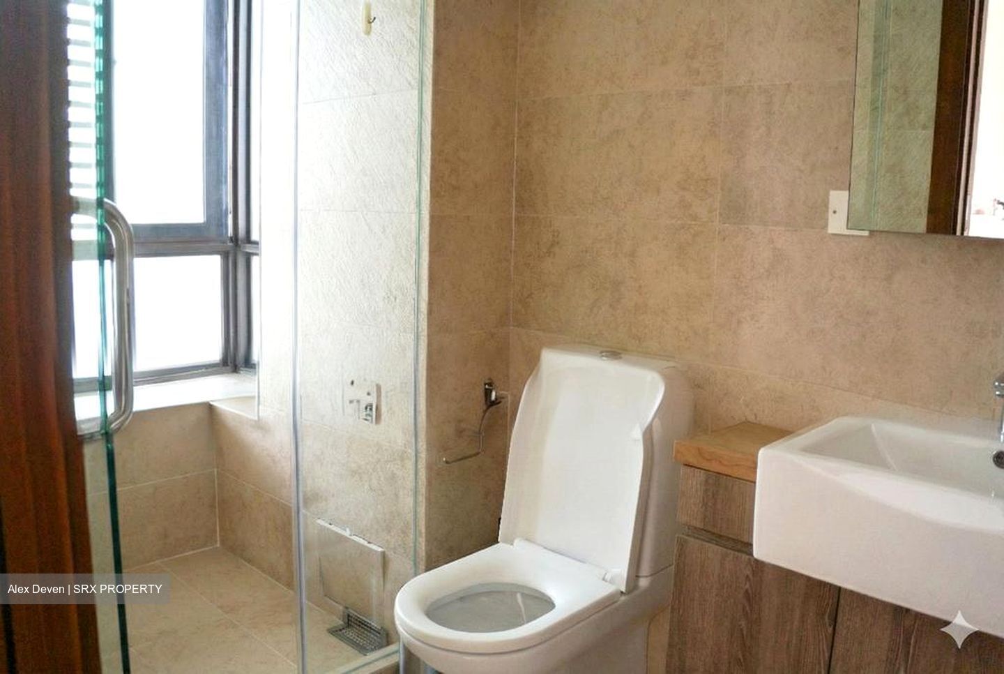 Holland Link (D10), Terrace #522817561